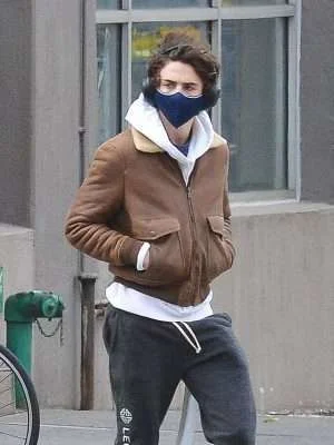 Alternative view of New Museum Timothee Chalamet Jacket