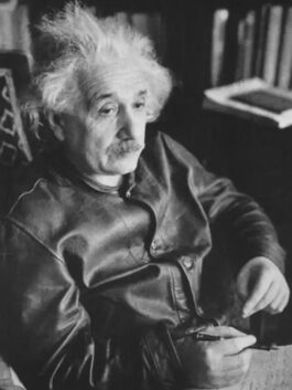 Albert Einstein Brown Leather Jacket