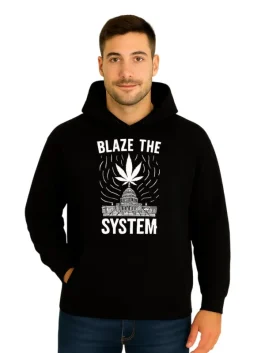 Blaze The System Hoodie