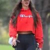 Alex Pike Champion Hoodie