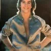 The Hardy Boys 1977 Jacket