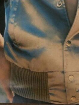 The Hardy Boys 1977 Jacket