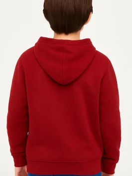 A Minecraft Movie Sebastian Eugene Hansen Hoodie