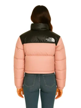 North Face Puffer Jacket (Back)