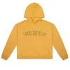 1-800-Boys-Lie Hoodie