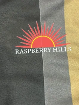 Close-up of the RASPBERRY HILLS logo and red sun graphic printed on the front of the raspberry hills bonsai hoodie, a key detail of the gv gallery bonsai hoodie design.