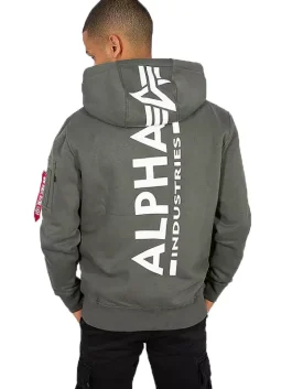 Alpha Industries Hoodie Color Grey Back Look