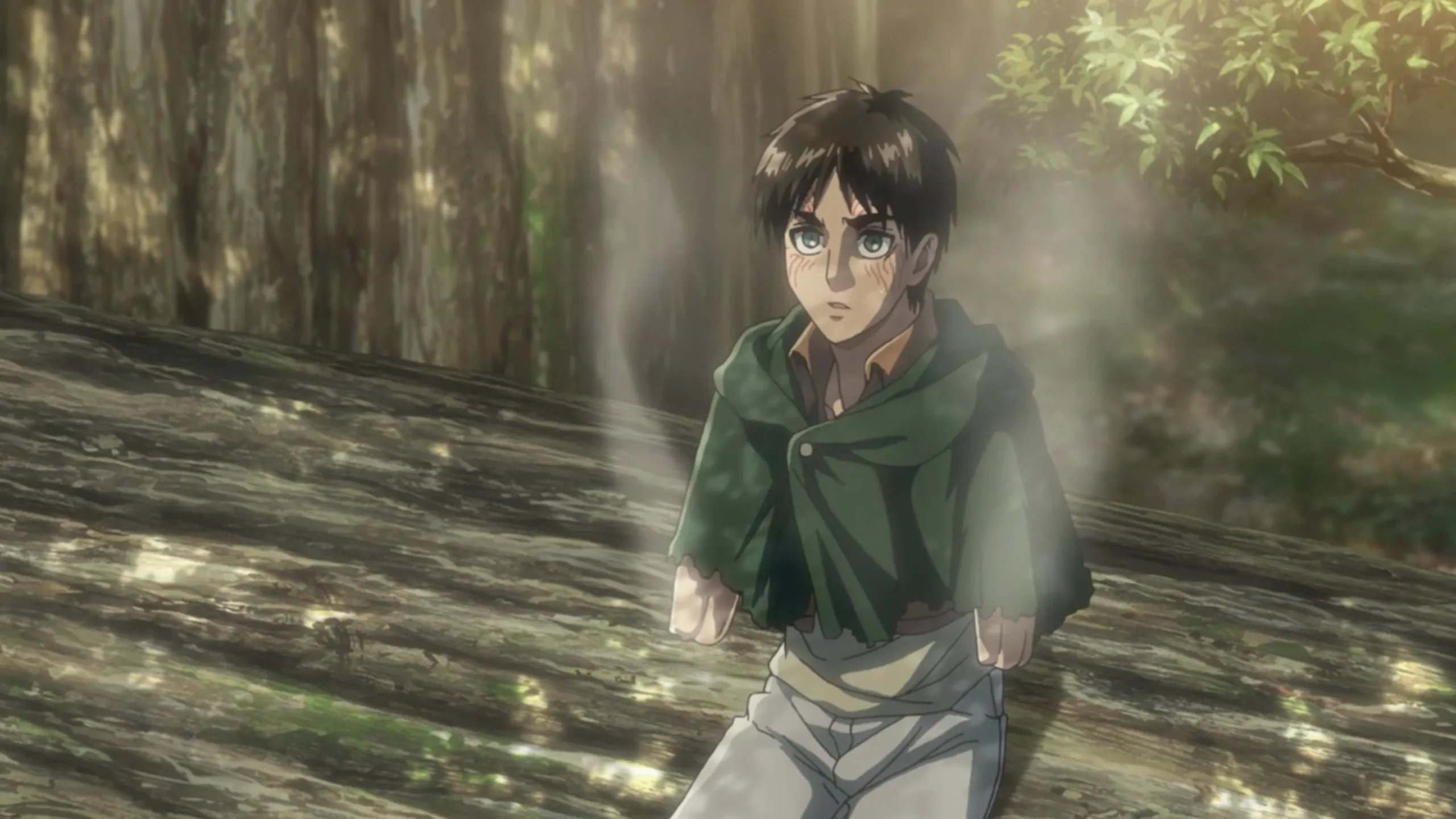 Attack on Titan Season 2