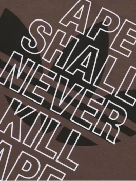 Adidas Bape Head Tee in warm brown cotton with bold Bape Head graphic and Adidas's clean round neck half sleeve everyday streetwear build.