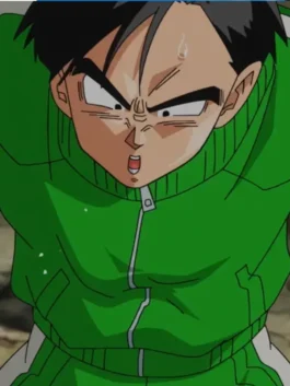 Close-up front view of Dragon Ball Z Gohan Green Tracksuit showing collar and zipper