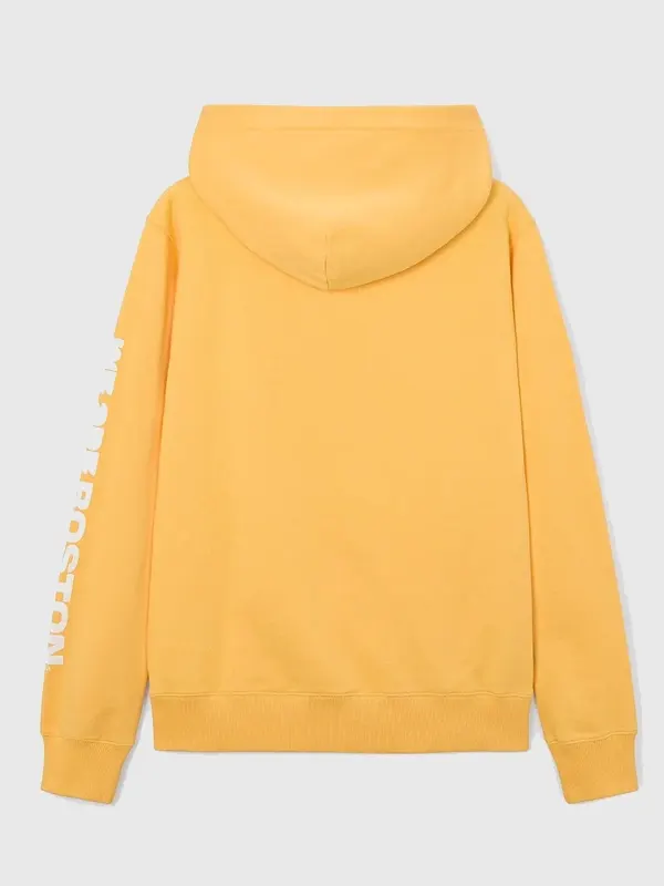 FIFA World Cup 2026 Boston Hoodie Back View