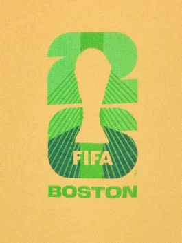 FIFA World Cup 2026 Boston Hoodie Design View