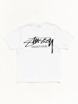 Stussy x OL Beach Roots Pigment TEE Back Look