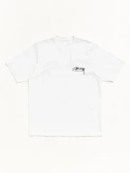 Stussy x OL Beach Roots Pigment TEE Front Look